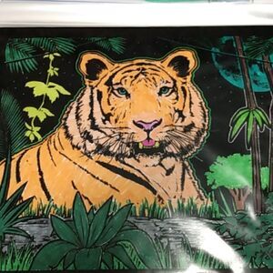 Small color of a tiger